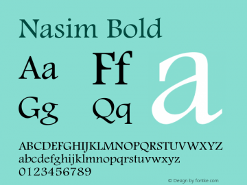 Nasim Bold 1.0图片样张