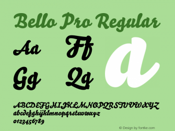 Bello Pro Version 1.111;PS 001.010;hotconv 1.0.38 Font Sample