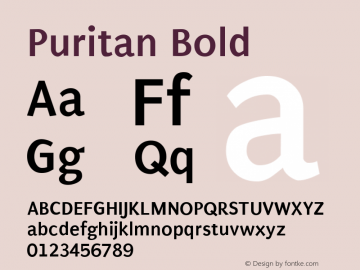 Puritan Bold 2.1图片样张