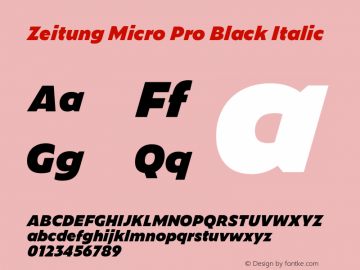 ZeitungMicroPro-BlackItalic Version 1.001 (license nr. 0000 - Underware) Font Sample