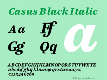 Casus Black Italic Version 7.504 Font Sample