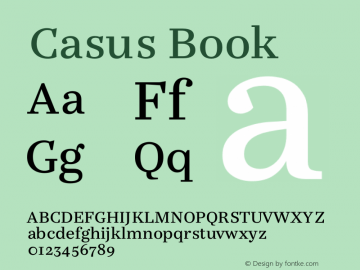 Casus Book Version 7.504图片样张