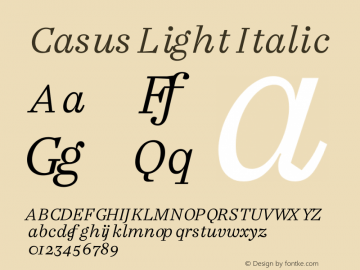 Casus Light Italic Version 7.504 Font Sample