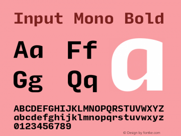 InputMono Bold Version 0.000;PS 0.0;hotconv 1.0.72;makeotf.lib2.5.5900 Font Sample