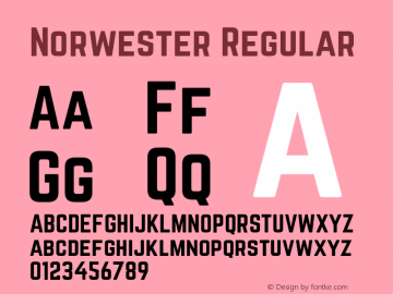 Norwester Regular  Font Sample