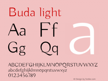 Buda light 图片样张