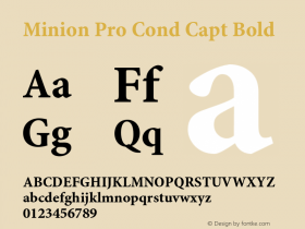 Minion Pro Cond Capt Bold OTF 1.011;PS 001.000;Core 1.0.27;makeotf.lib1.3.1图片样张