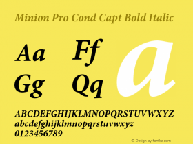 Minion Pro Cond Capt Bold Italic Version 2.030;PS 2.000;hotconv 1.0.51;makeotf.lib2.0.18671图片样张