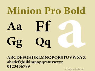 Minion Pro Bold Version 1.021;PS 001.001;Core 1.0.35;makeotf.lib1.5.4492 Font Sample