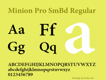 Minion Pro SmBd Regular Version 2.030;PS 2.000;hotconv 1.0.51;makeotf.lib2.0.18671图片样张