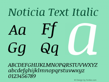 Noticia Text Italic 图片样张