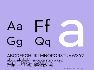 苹方-港 纤细体  Font Sample