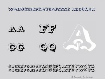 WahooDisplayCapsSSK Regular Altsys Metamorphosis:9/2/94图片样张