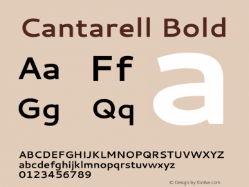 Cantarell Bold  Font Sample