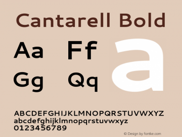 Cantarell Bold 图片样张