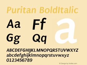 Puritan BoldItalic 图片样张