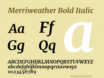 Merriweather Bold Italic  Font Sample