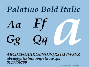Palatino Bold Italic 001.005 Font Sample