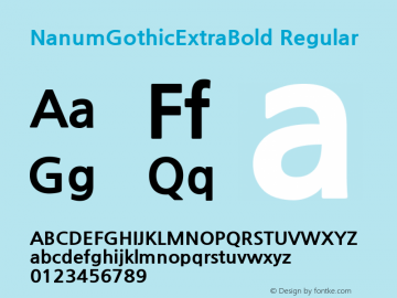 NanumGothicExtraBold Regular  Font Sample