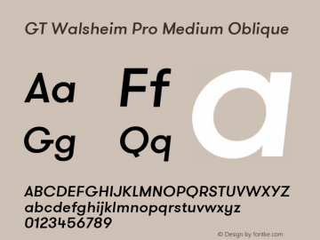 GTWalsheimProMedium-Oblique Version 1.001 Font Sample