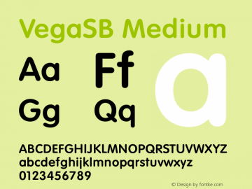 VegaSB-Medium Version 3.010 2014; ttfautohint (v0.96) -l 8 -r 50 -G 200 -x 14 -w 