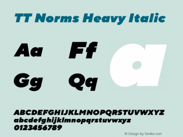 TT Norms Heavy Italic Version 1.000图片样张