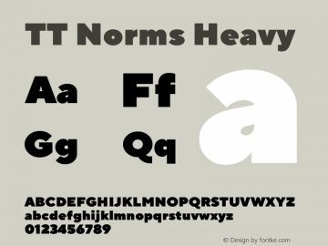 TT Norms Heavy Version 1.000 Font Sample