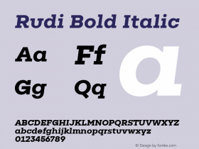 5bf961a9dba05fdd - subset of Rudi Bold Italic Version 1.000图片样张