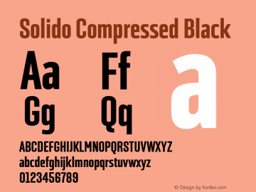 SolidoCompressed-Black Version 1.000图片样张