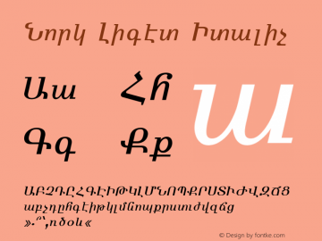 Nork Light Italic 001.000图片样张