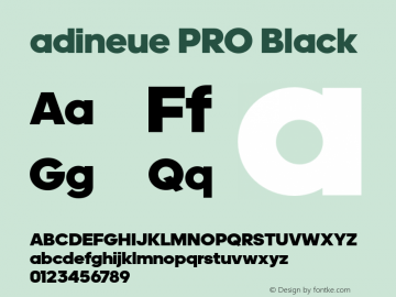 adineue PRO Black Version 1.007;PS 1.1;hotconv 1.0.79;makeotf.lib2.5.61930 Font Sample