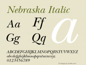 Nebraska Italic 1.0 Font Sample