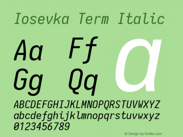 Iosevka Term Italic 1.13.0; ttfautohint (v1.6)图片样张