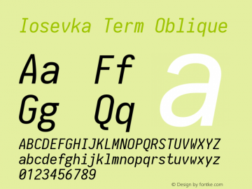 Iosevka Term Oblique 1.13.0; ttfautohint (v1.6)图片样张