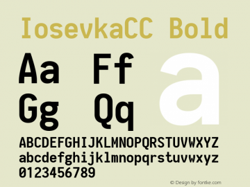 IosevkaCC Bold 1.13.0; ttfautohint (v1.6) Font Sample