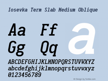 Iosevka Term Slab Medium Oblique 1.13.0; ttfautohint (v1.6)图片样张