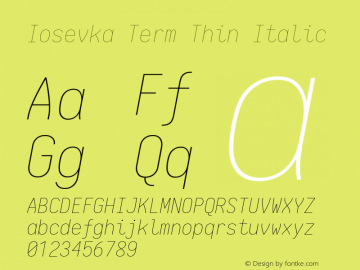 Iosevka Term Thin Italic 1.13.0; ttfautohint (v1.6)图片样张