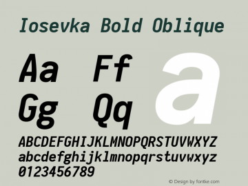 Iosevka Bold Oblique 1.13.0; ttfautohint (v1.6) Font Sample