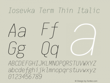 Iosevka Term Thin Italic 1.13.0; ttfautohint (v1.6)图片样张