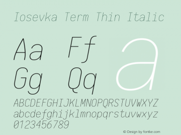 Iosevka Term Thin Italic 1.13.0; ttfautohint (v1.6)图片样张
