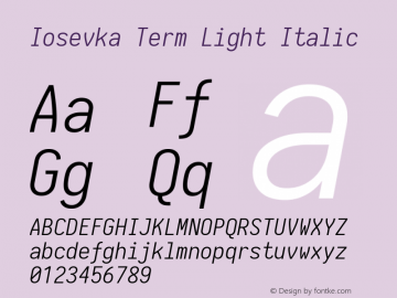 Iosevka Term Light Italic 1.13.0; ttfautohint (v1.6)图片样张