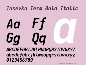 Iosevka Term Bold Italic 1.13.0; ttfautohint (v1.6)图片样张