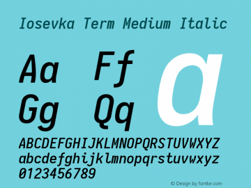 Iosevka Term Medium Italic 1.13.0; ttfautohint (v1.6)图片样张