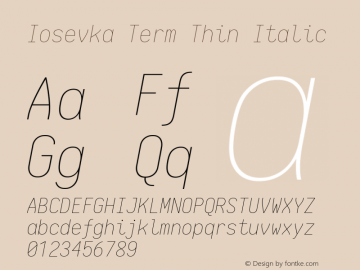 Iosevka Term Thin Italic 1.13.0; ttfautohint (v1.6)图片样张