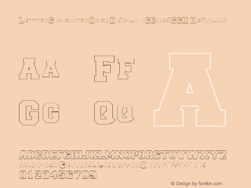 LetterSweaterOpenDisplaySCapsSSK Regular Altsys Metamorphosis:8/25/94图片样张