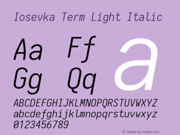 Iosevka Term Light Italic 1.13.0; ttfautohint (v1.6)图片样张