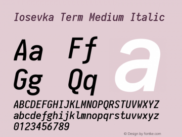 Iosevka Term Medium Italic 1.13.0; ttfautohint (v1.6)图片样张