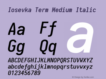 Iosevka Term Medium Italic 1.13.0; ttfautohint (v1.6)图片样张