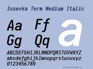 Iosevka Term Medium Italic 1.13.0; ttfautohint (v1.6)图片样张
