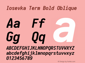 Iosevka Term Bold Oblique 1.13.0; ttfautohint (v1.6)图片样张